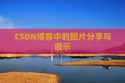 CSDN博客中的图片分享与展示